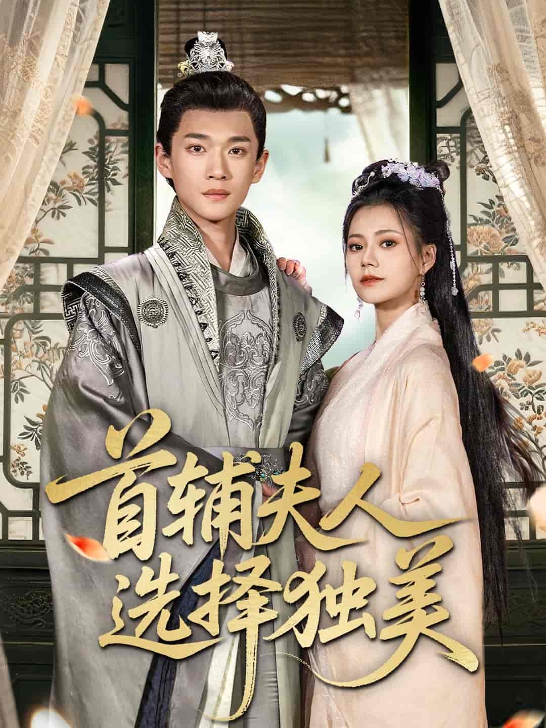 首辅夫人选择独美剧照