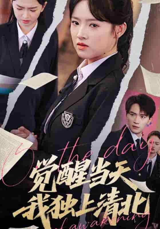 觉醒当天我独上清北剧照