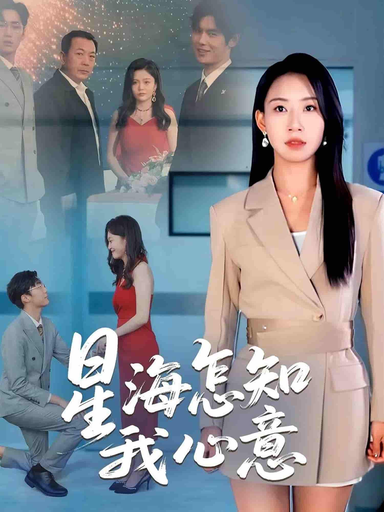 星海怎知我心意剧照