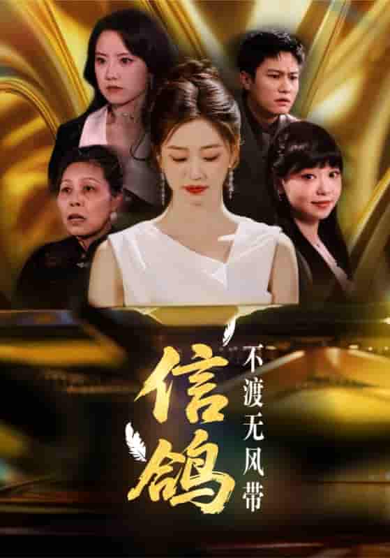 信鸽不渡无风带剧照