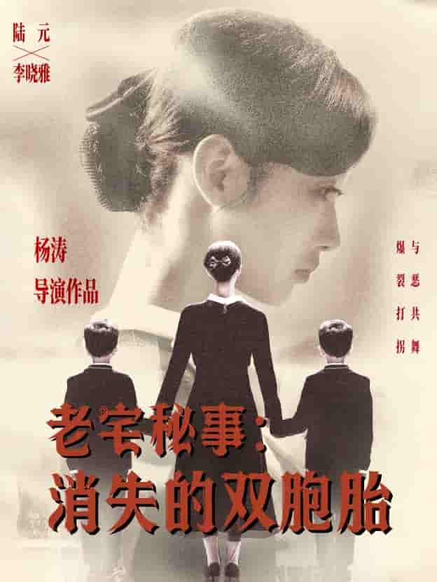 老宅秘事消失的双胞胎＆消失的孩子剧照