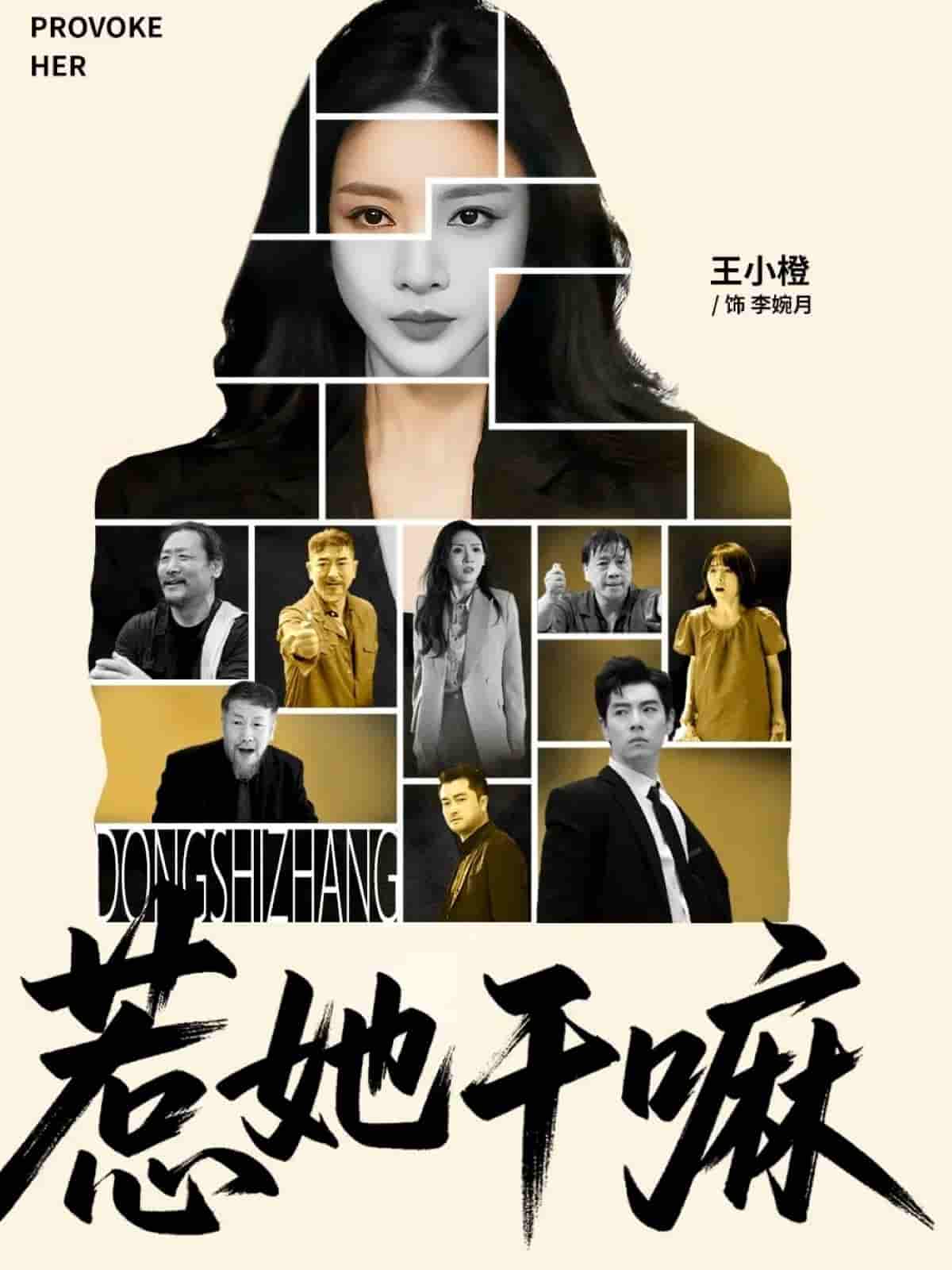 惹她干嘛剧照