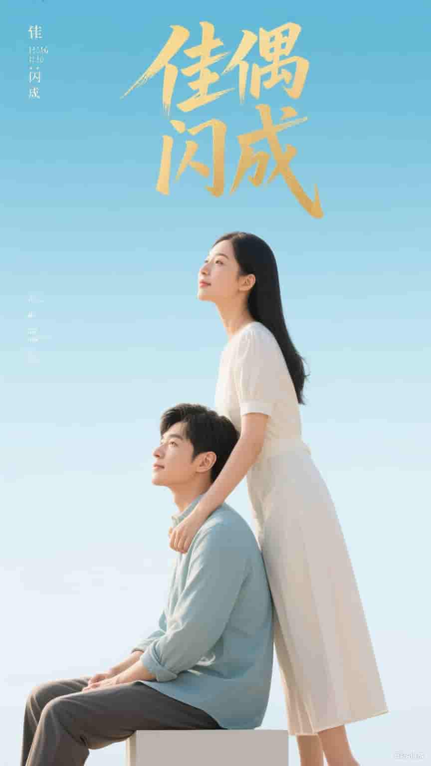 佳偶闪成&假婚真爱剧照