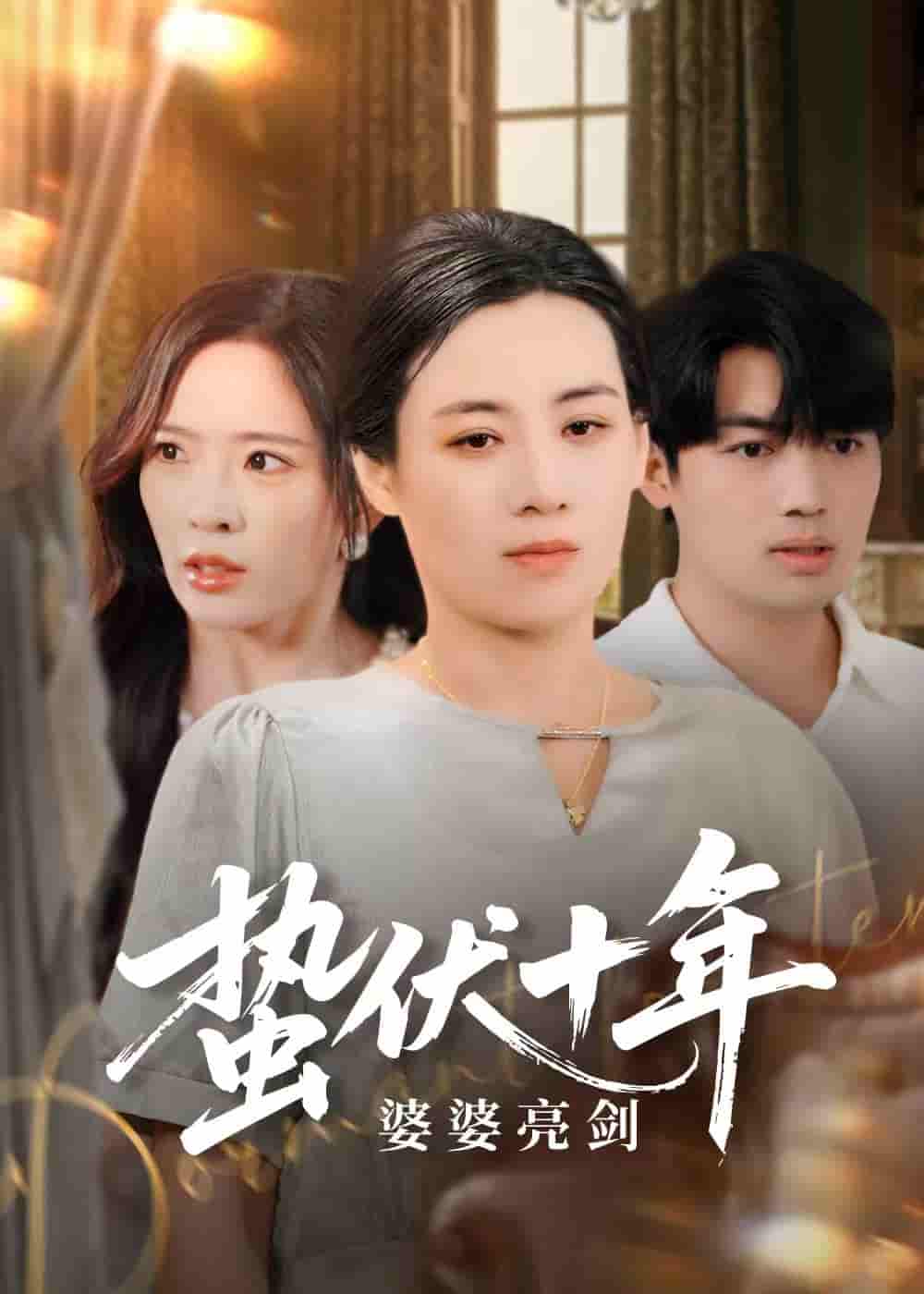 蛰伏十年婆婆亮剑剧照