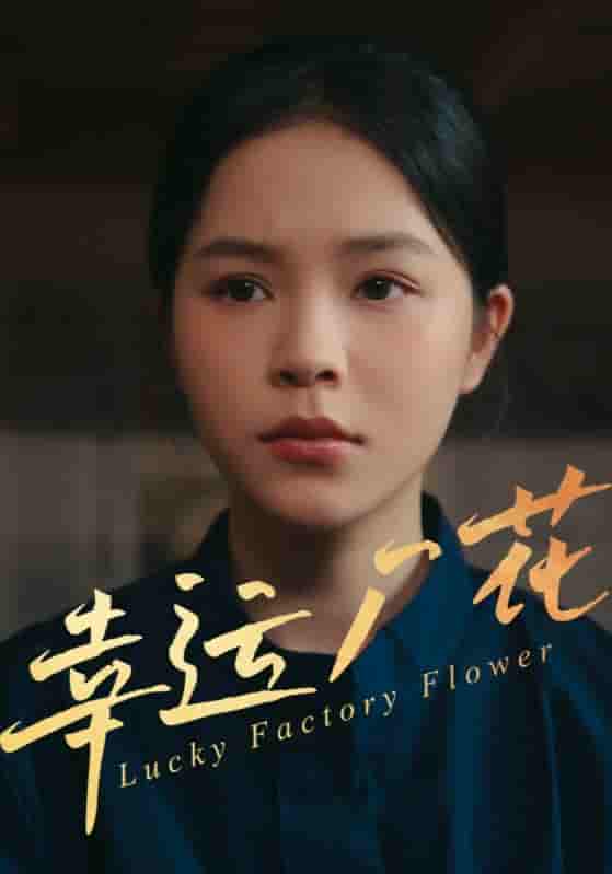幸运厂花&幸孕厂花剧照