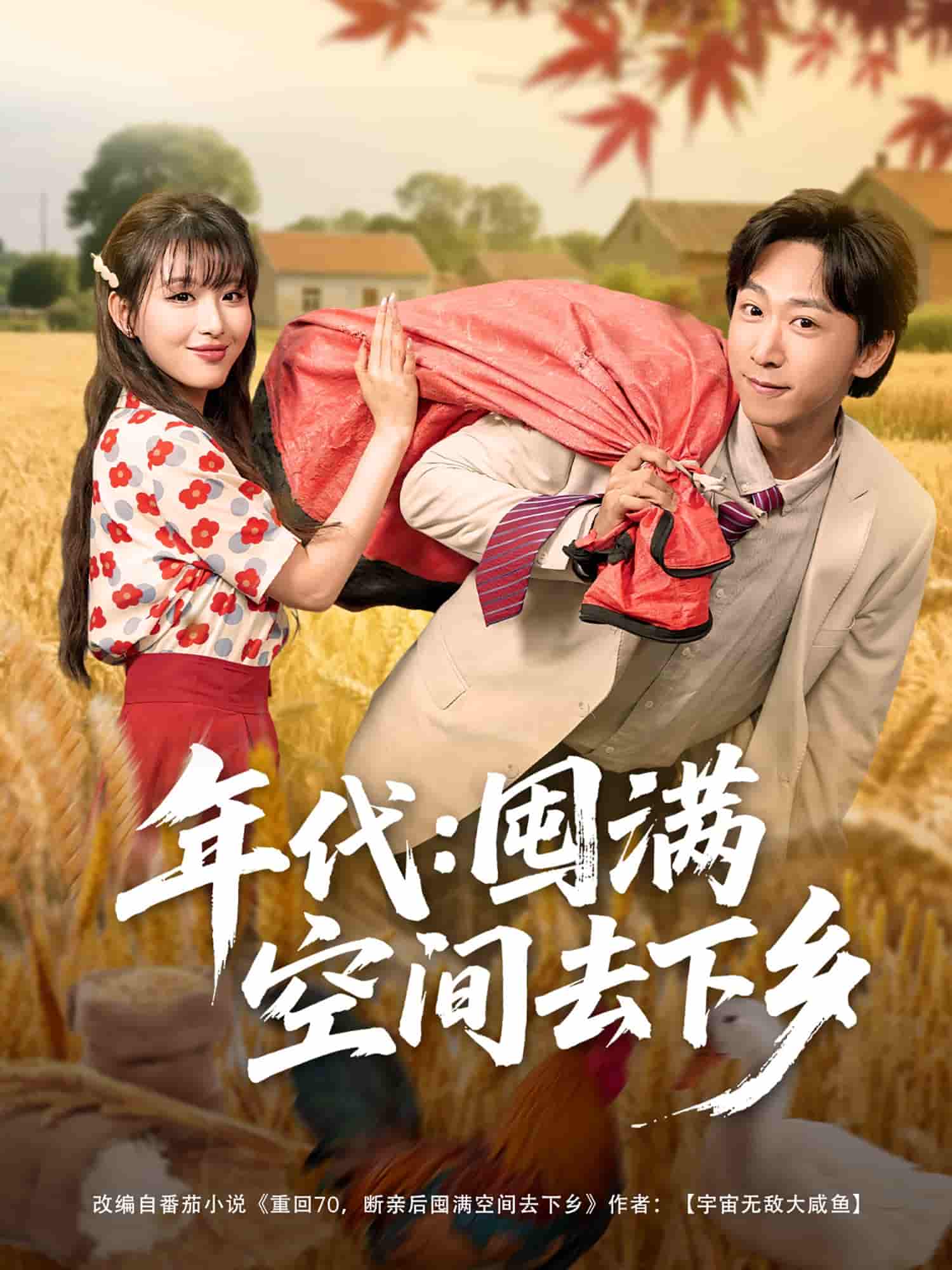 年代囤满空间去下乡剧照