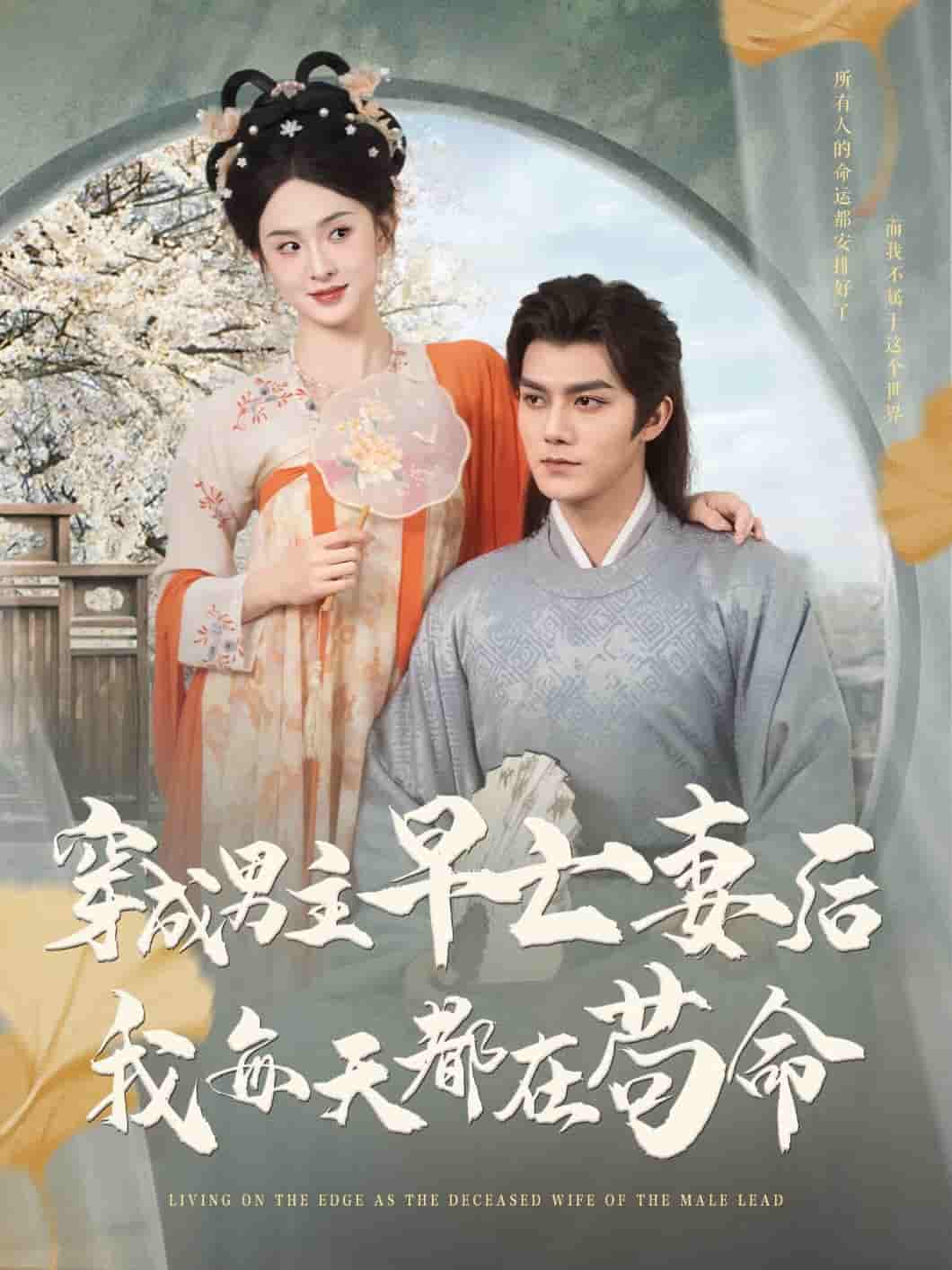穿成男主早亡妻后我每天都在苟命剧照