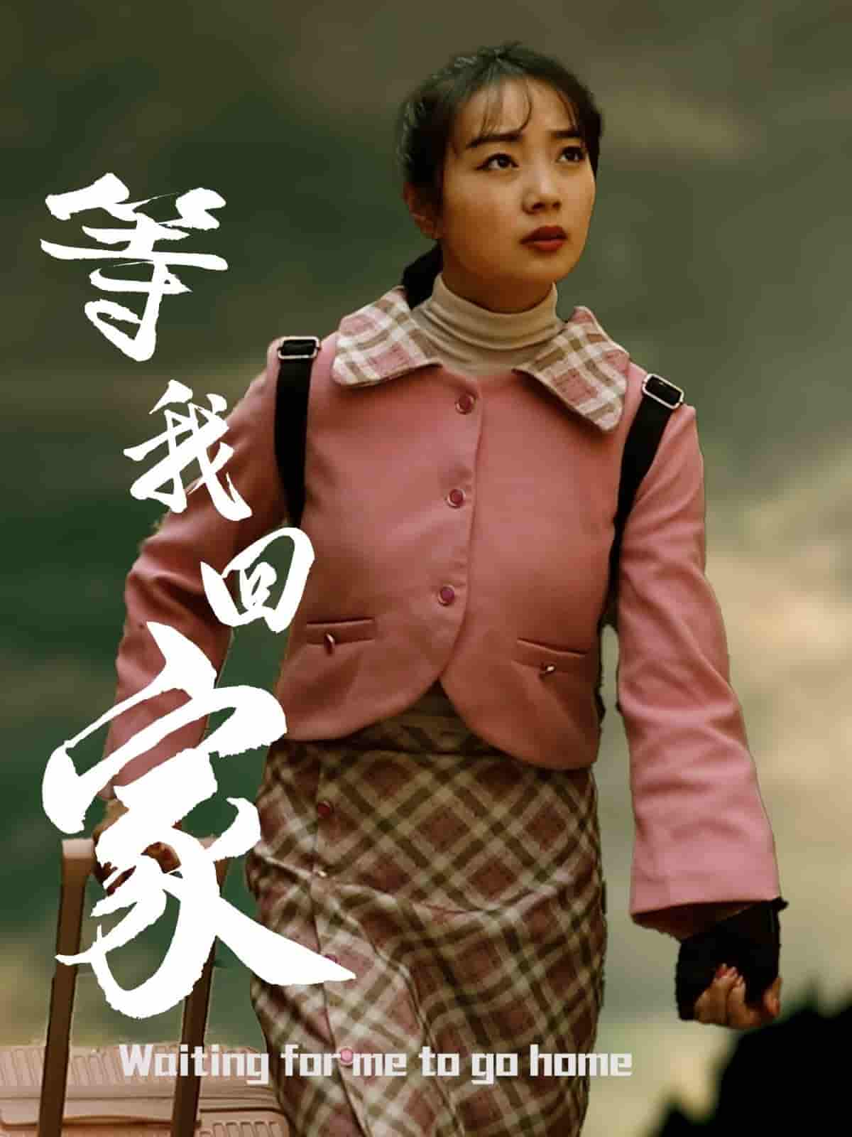 等我回家剧照
