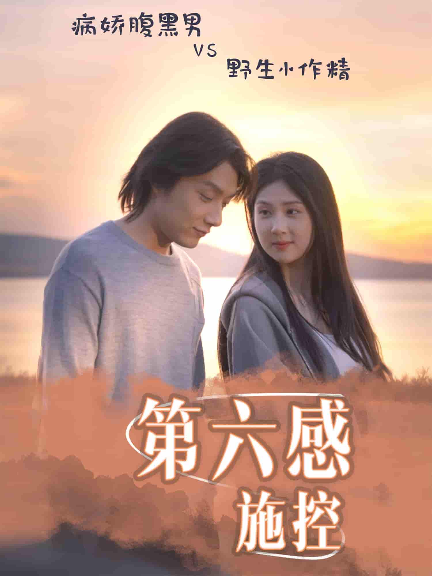 第六感施控剧照