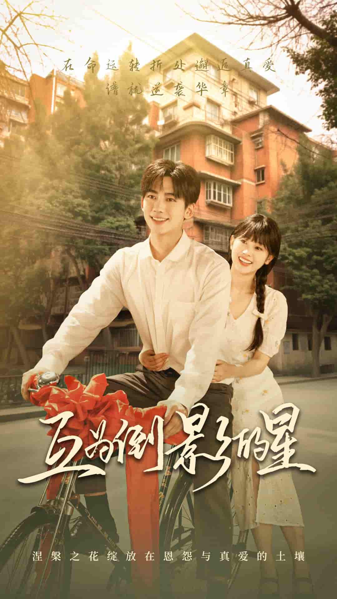 互为倒影的星剧照