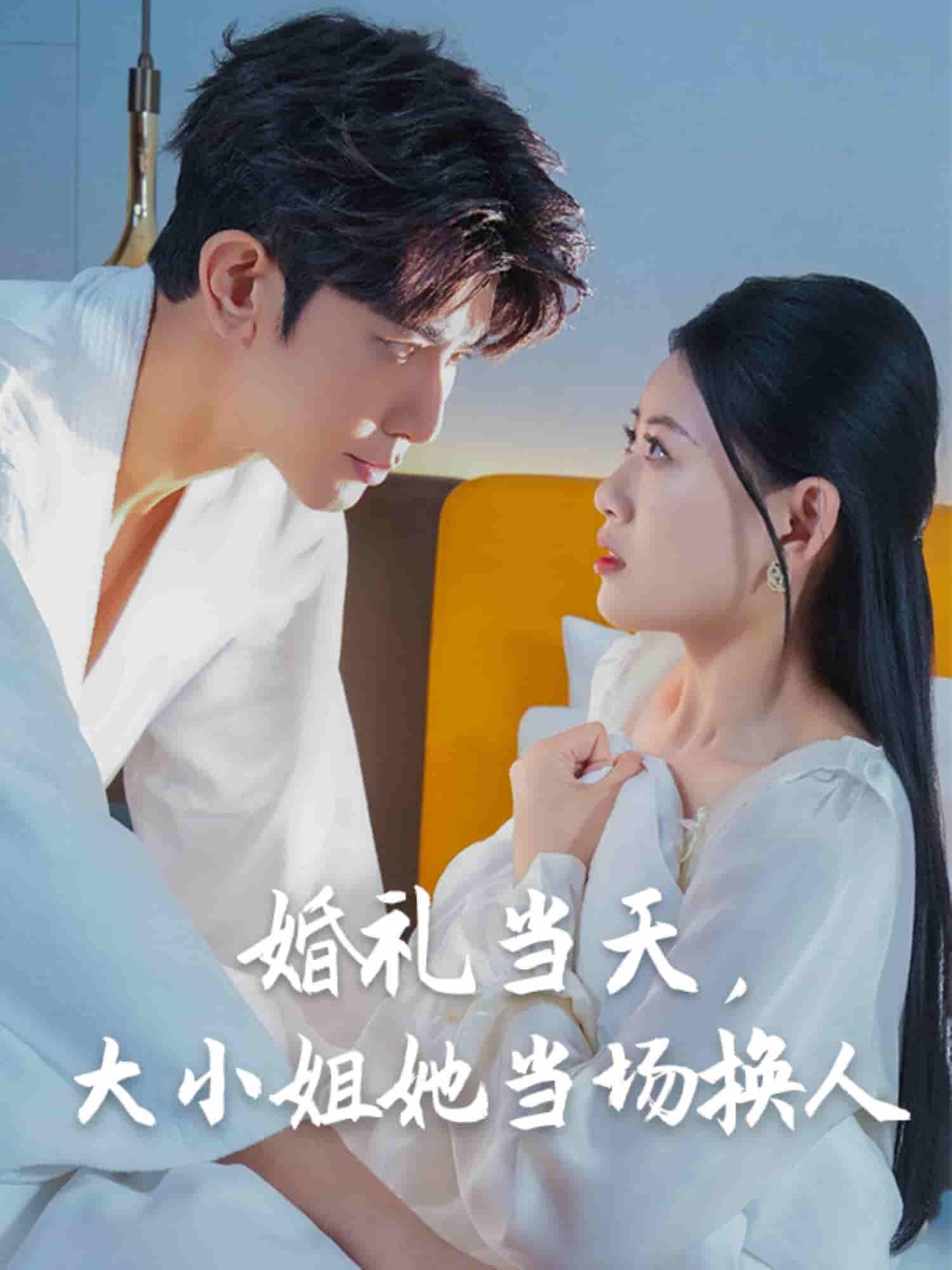 婚礼当天，大小姐她当场换人剧照
