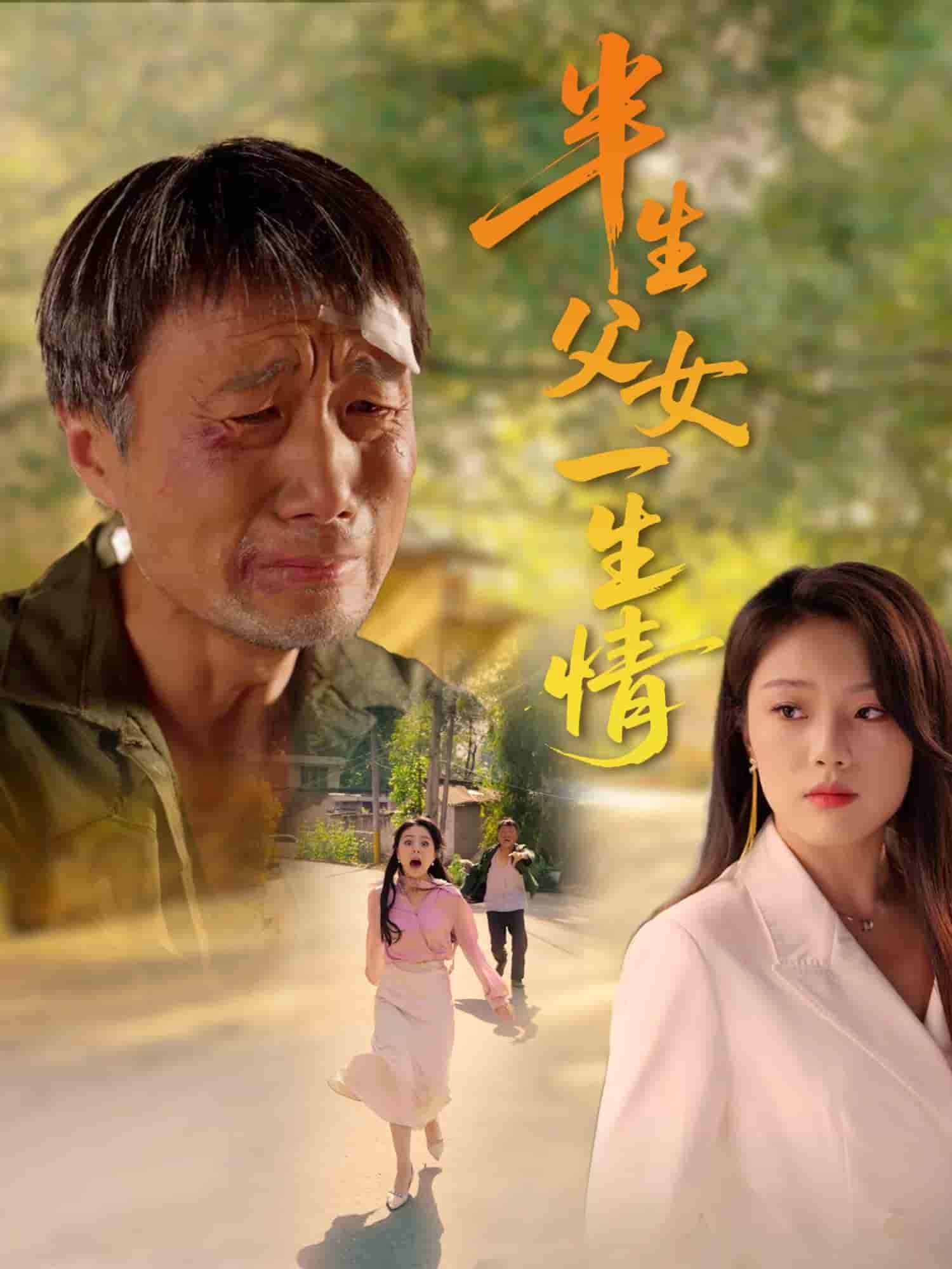 半生父女一生情剧照