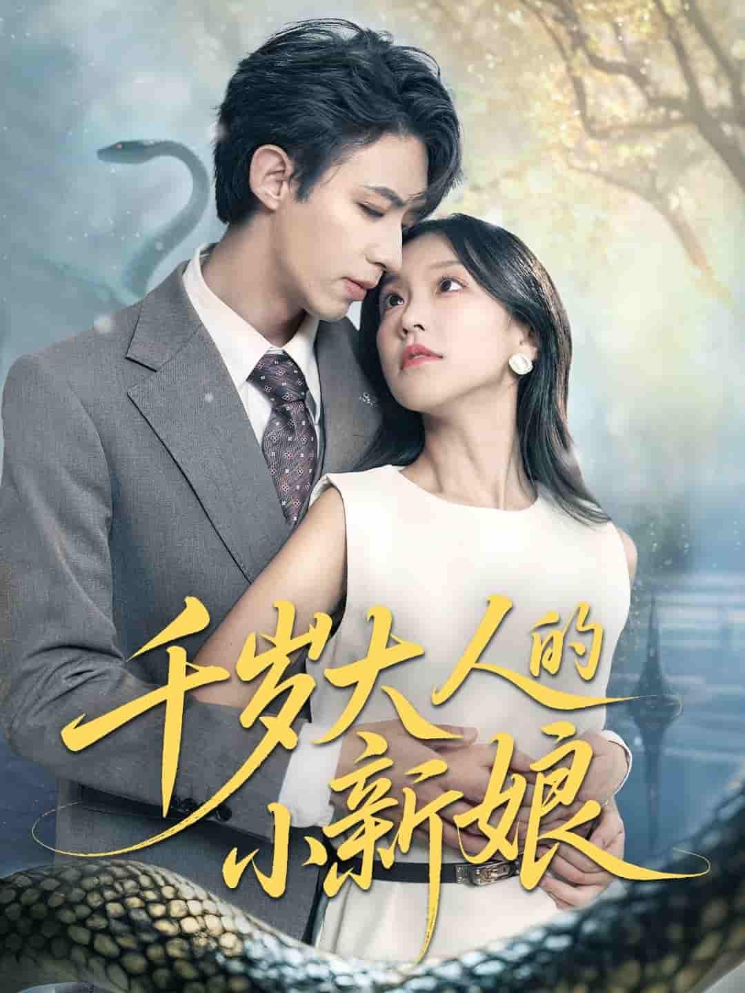 千岁大人的小新娘剧照
