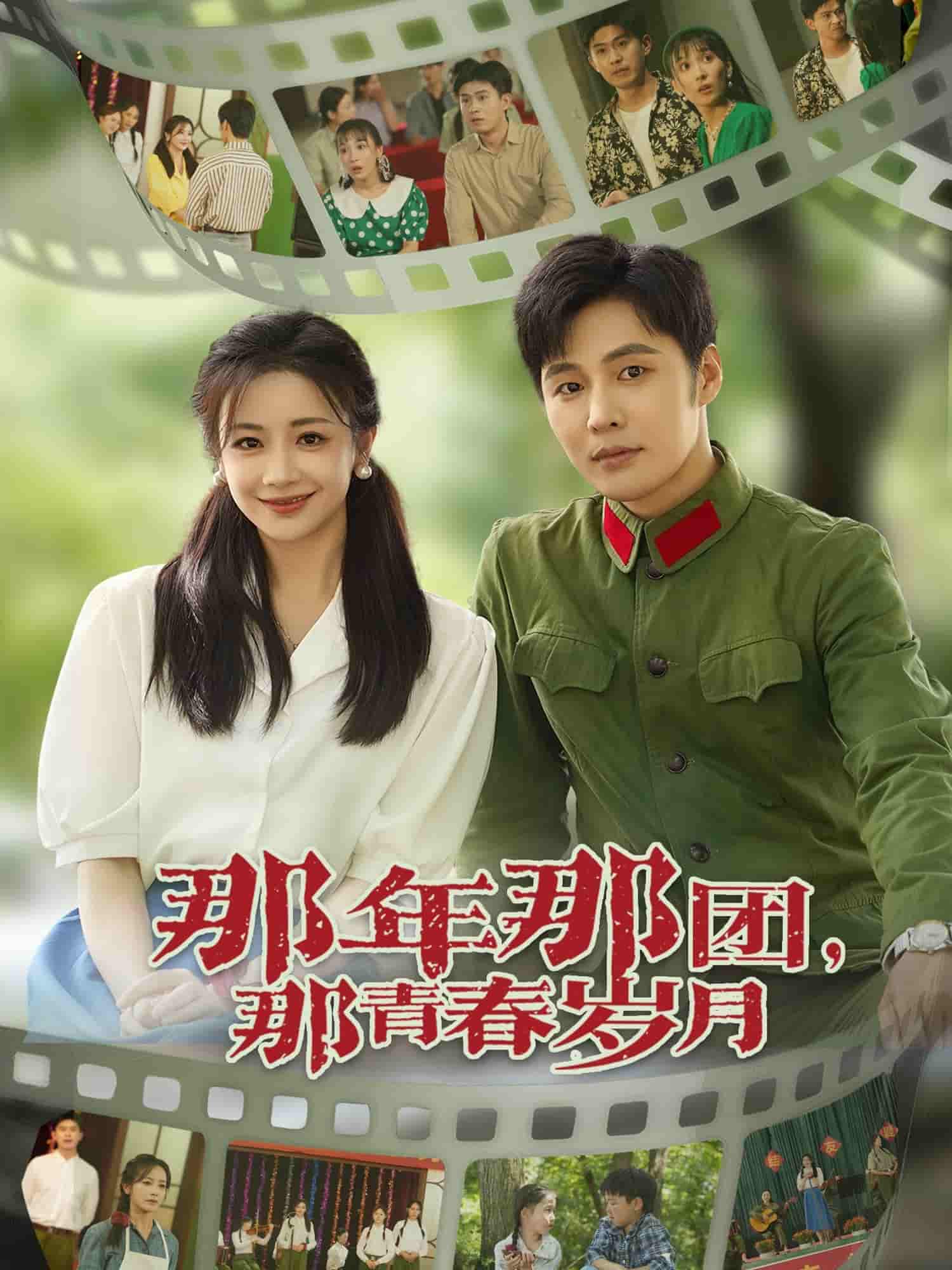 那年那团那青春岁月剧照