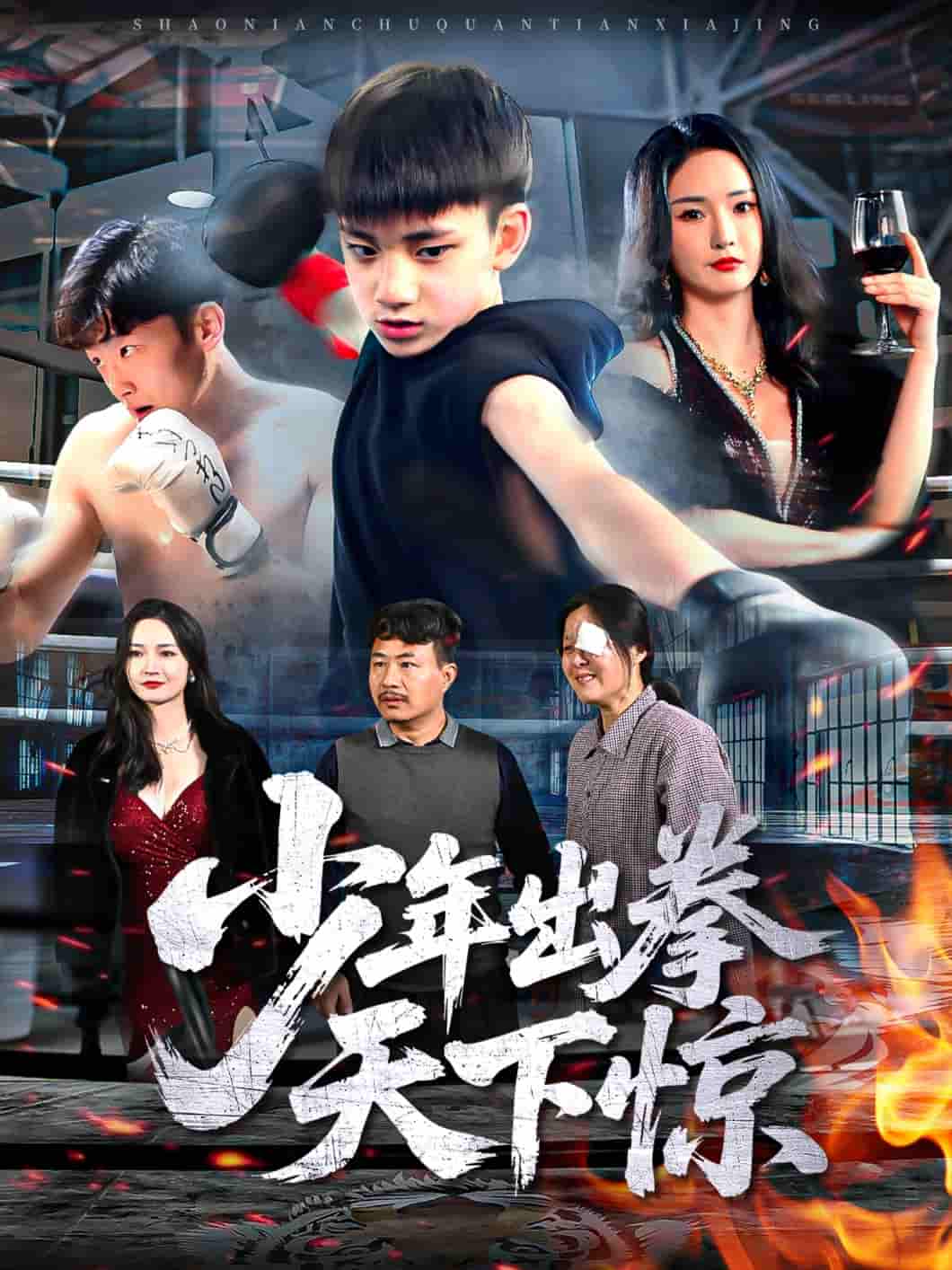 少年出拳天下惊剧照
