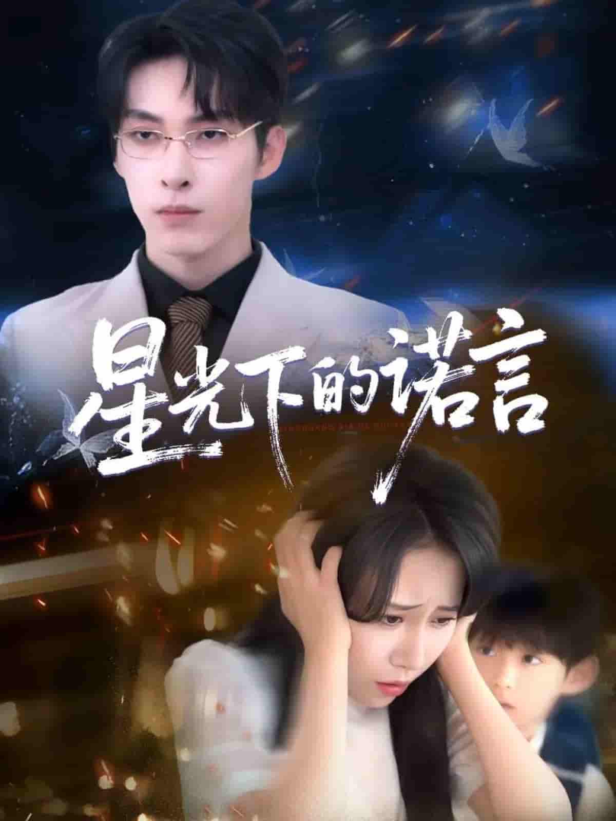 星光下的诺言剧照