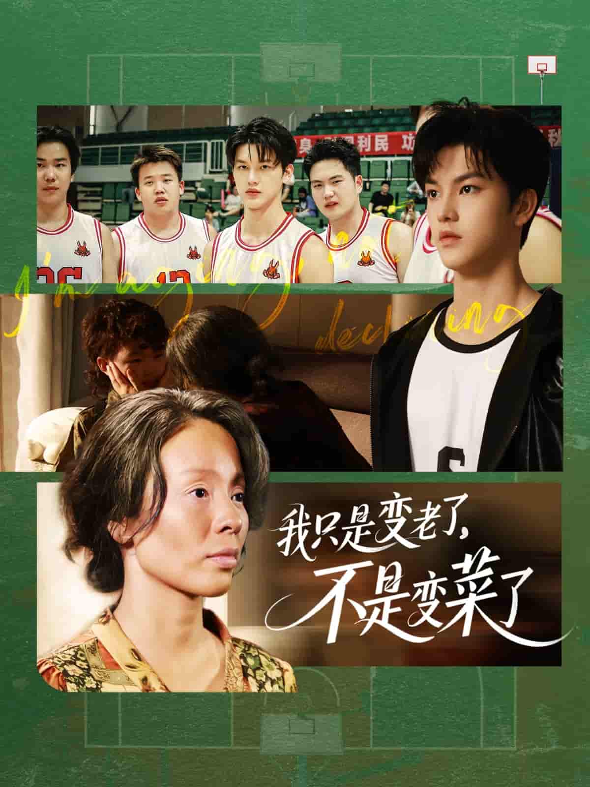 我只是变老了，不是变菜了剧照