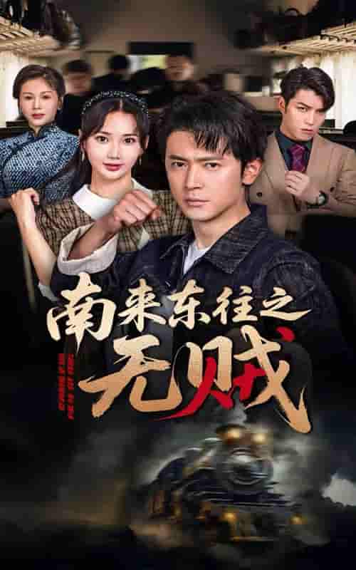 南来东往之无贼剧照