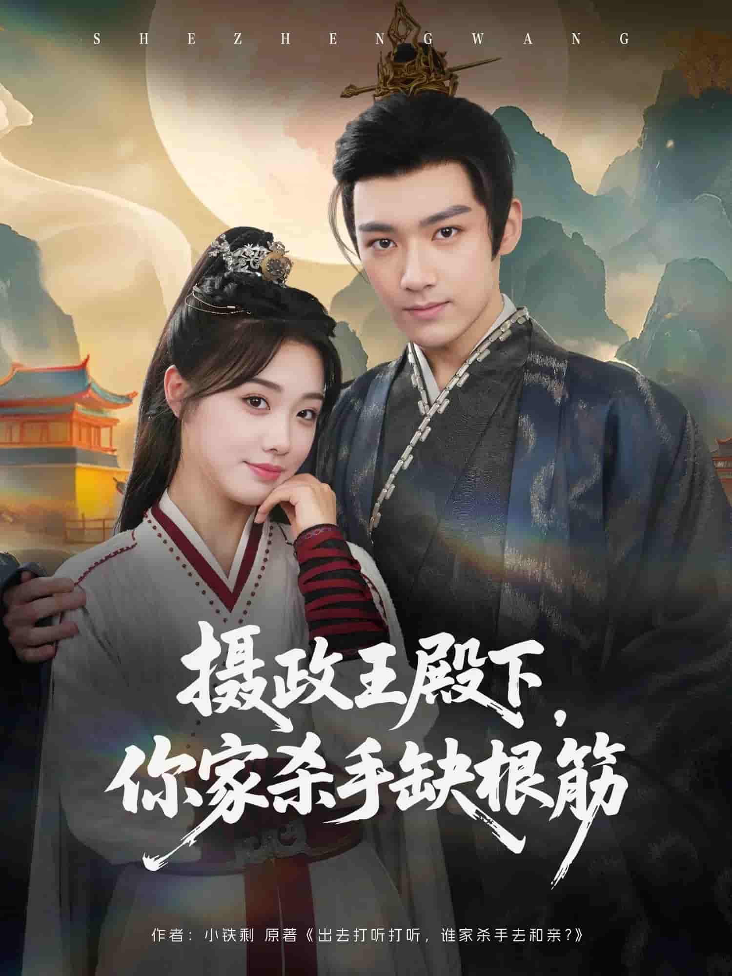 摄政王殿下你家杀手缺根筋剧照