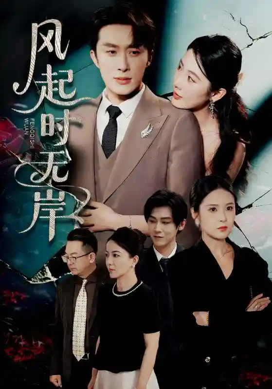 风起时无岸剧照
