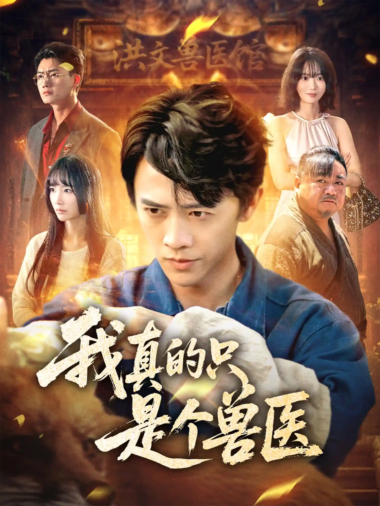 我真的只是个兽医剧照