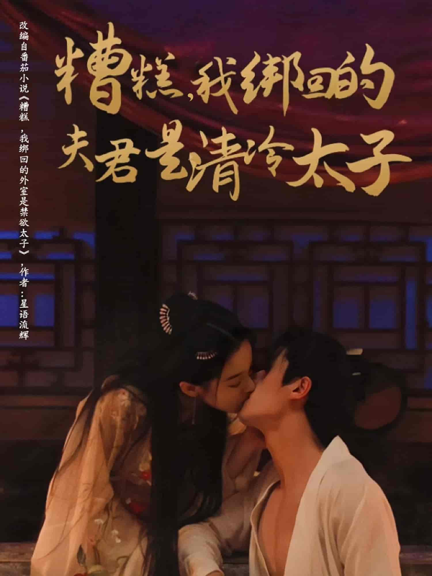 糟糕我绑回的夫君是清冷太子 - 短剧短剧海报图片