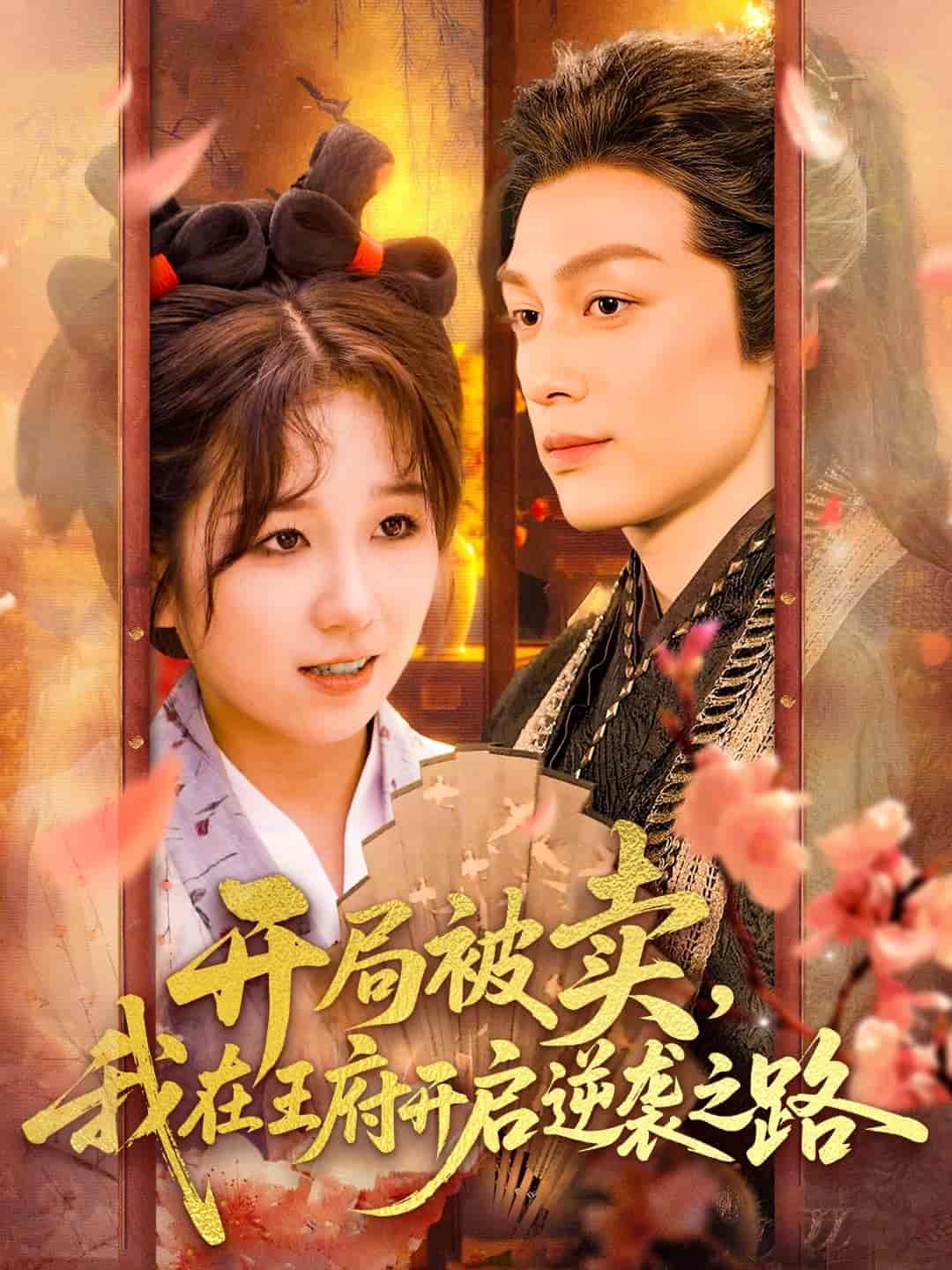 开局被卖我在王府开启逆袭之路 - 短剧短剧海报图片