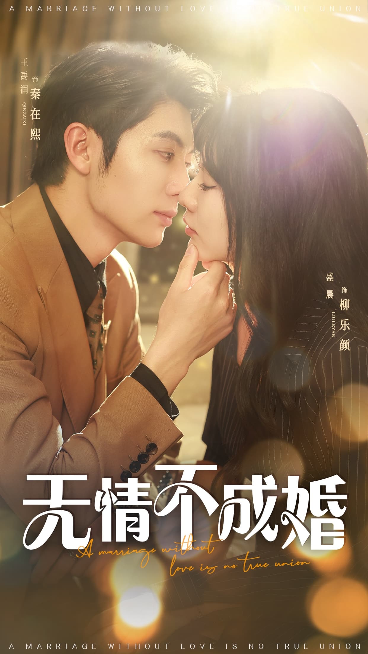 无情不成婚 - 短剧短剧海报图片