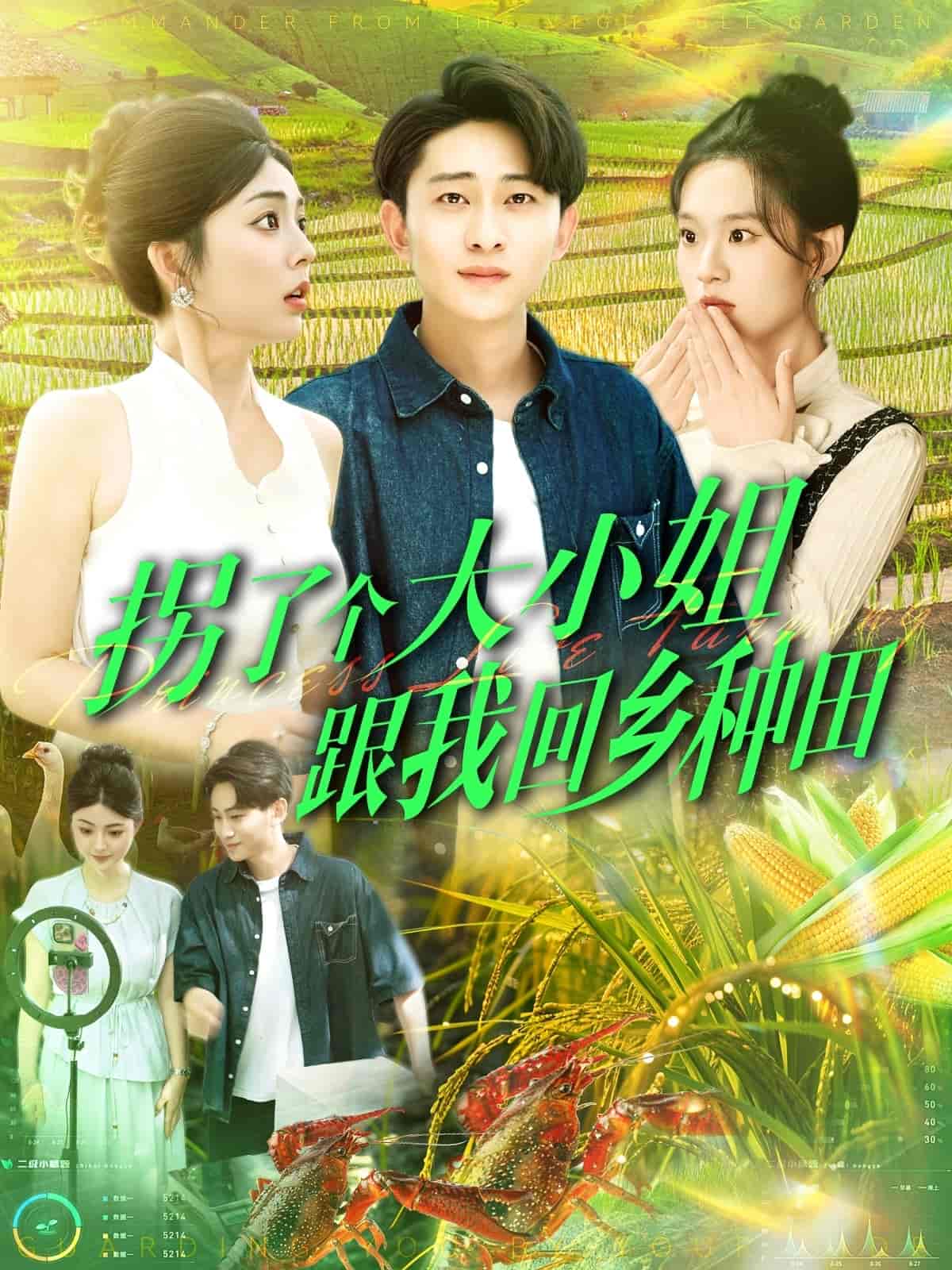 拐了个大小姐跟我回乡种田 - 短剧短剧海报图片