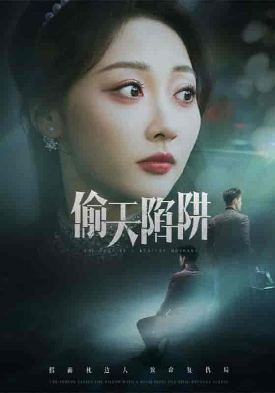 偷天陷阱 - 短剧短剧海报图片