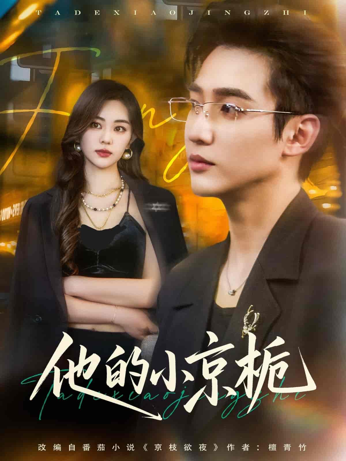 他的小京栀 - 短剧短剧海报图片