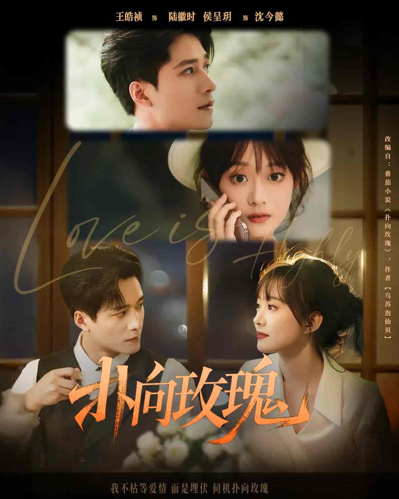 扑向玫瑰 - 短剧短剧海报图片