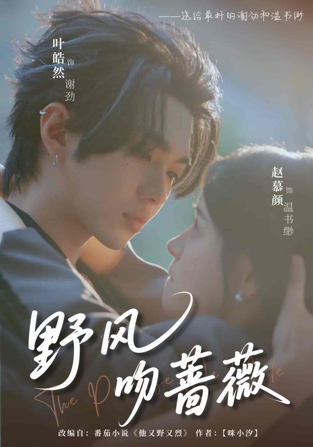 野风吻蔷薇 - 短剧短剧海报图片