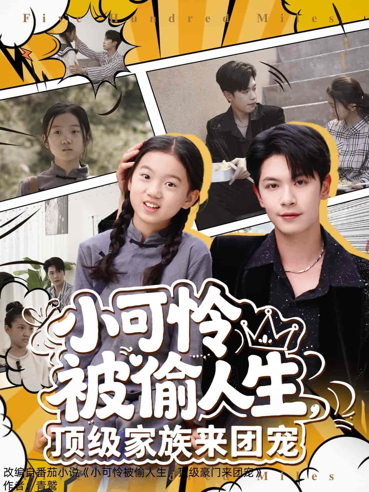 小可怜被偷人生，顶级家族来团宠 - 短剧短剧海报图片