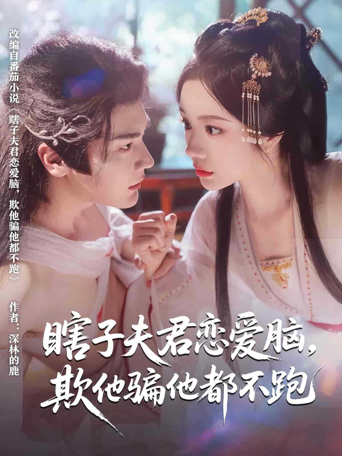 瞎子夫君恋爱脑欺他骗他都不跑 - 短剧短剧海报图片