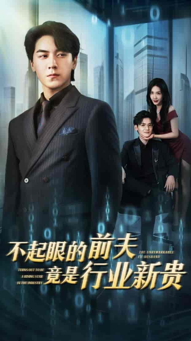 不起眼的前夫竟是行业新贵 - 短剧短剧海报图片