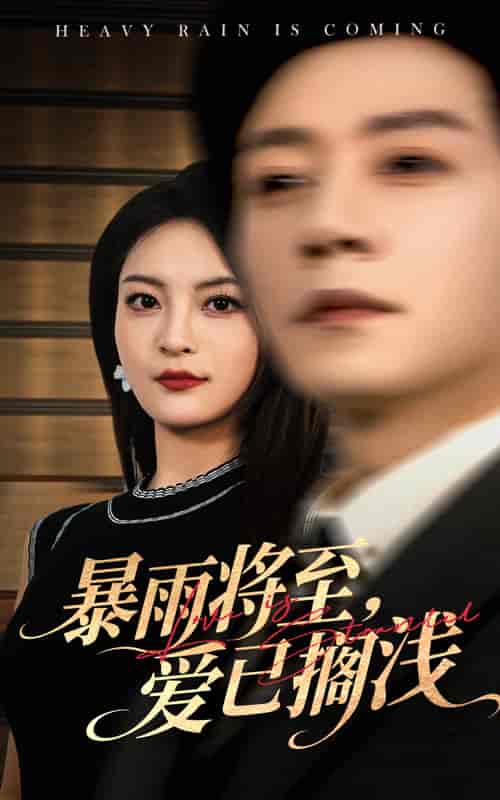 暴雨将至爱已搁浅 - 短剧短剧海报图片
