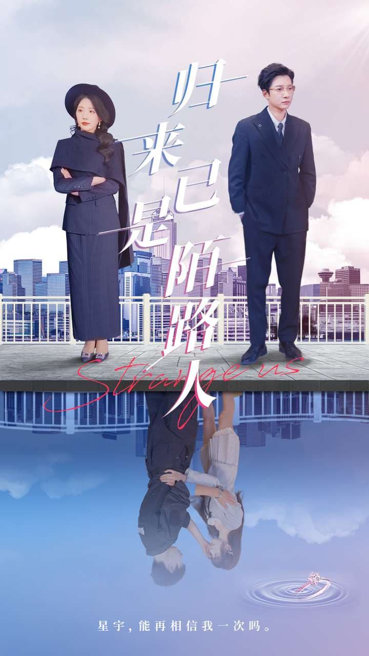 归来已是陌路人 - 短剧短剧海报图片