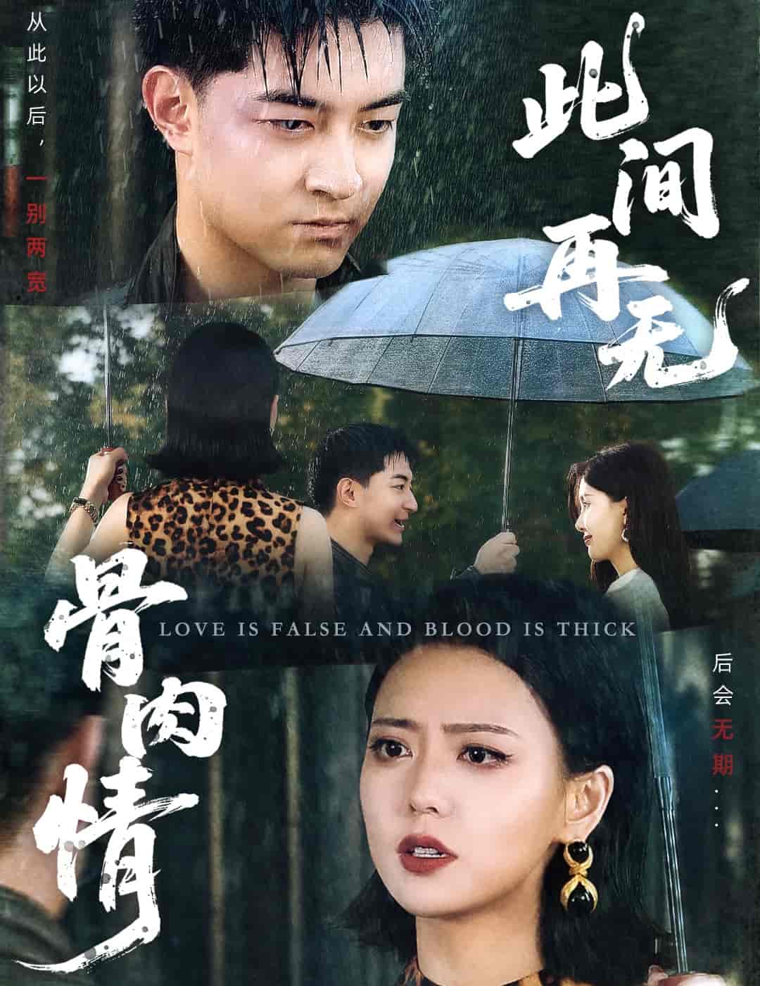 此间再无骨肉情 - 短剧短剧海报图片