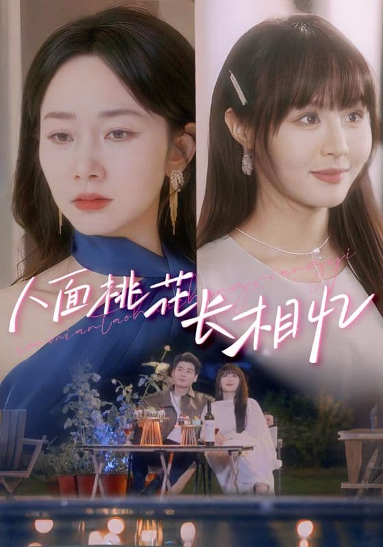人面桃花长相忆 - 短剧短剧海报图片