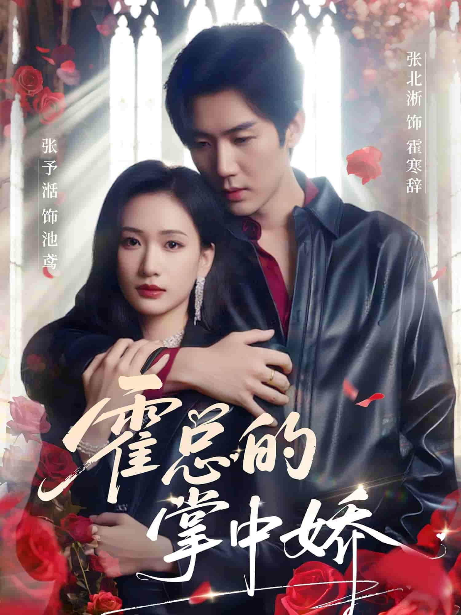 霍总的掌中娇 - 短剧短剧海报图片