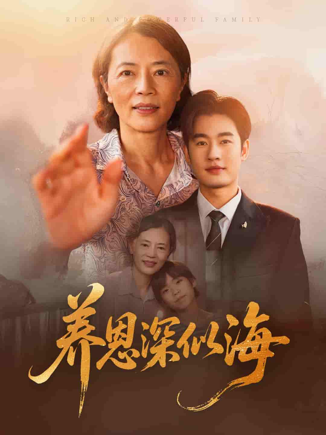 养恩深似海剧照