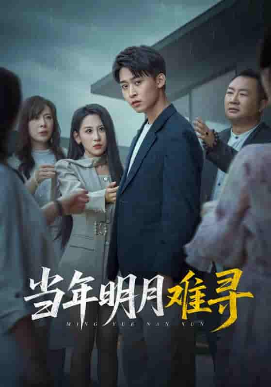 当年明月难寻 - 短剧短剧海报图片