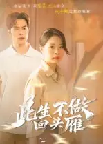 此生不做回头雁 - 短剧短剧海报图片