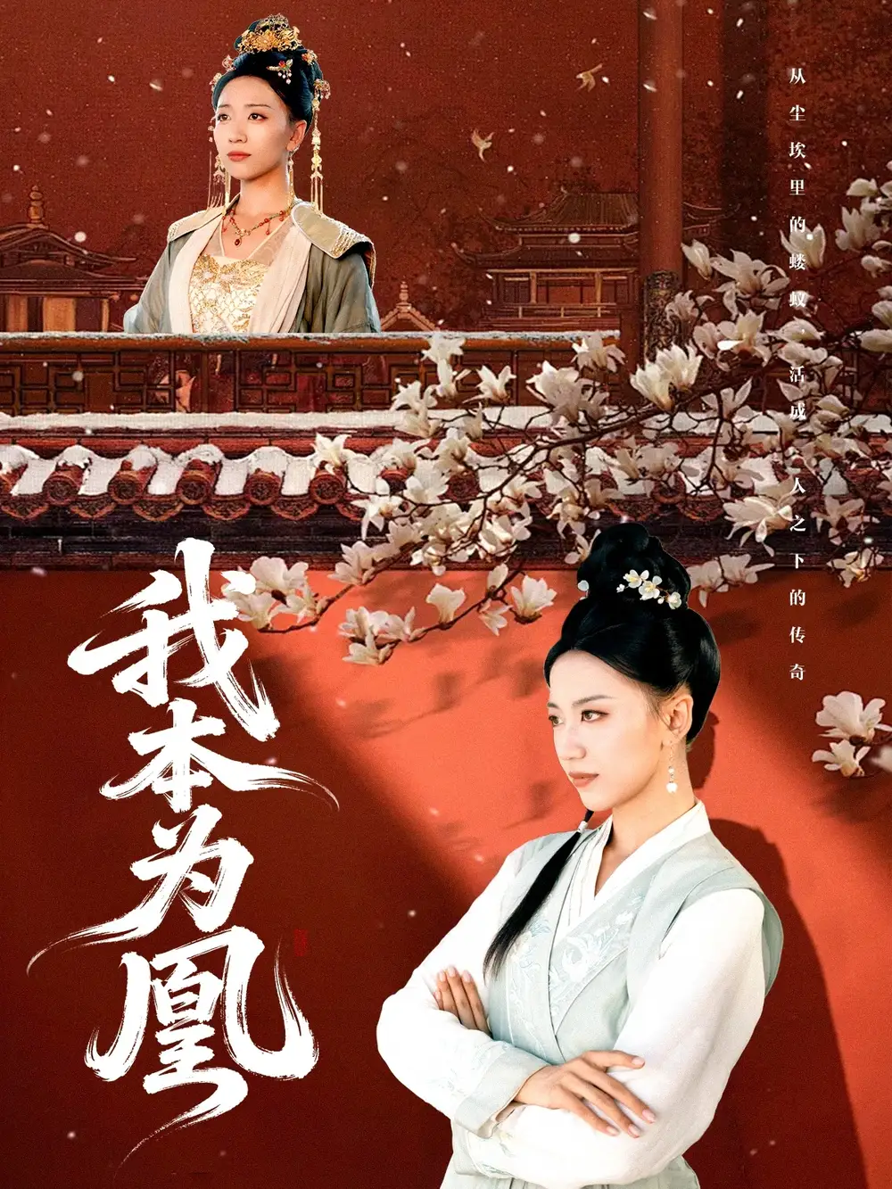 .我本为凰 - 短剧短剧海报图片