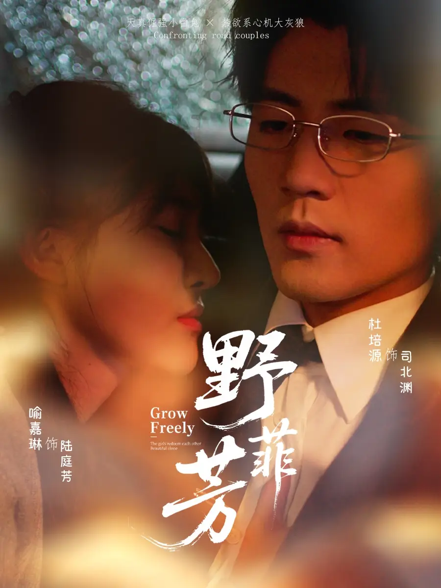 野芳菲 - 短剧短剧海报图片