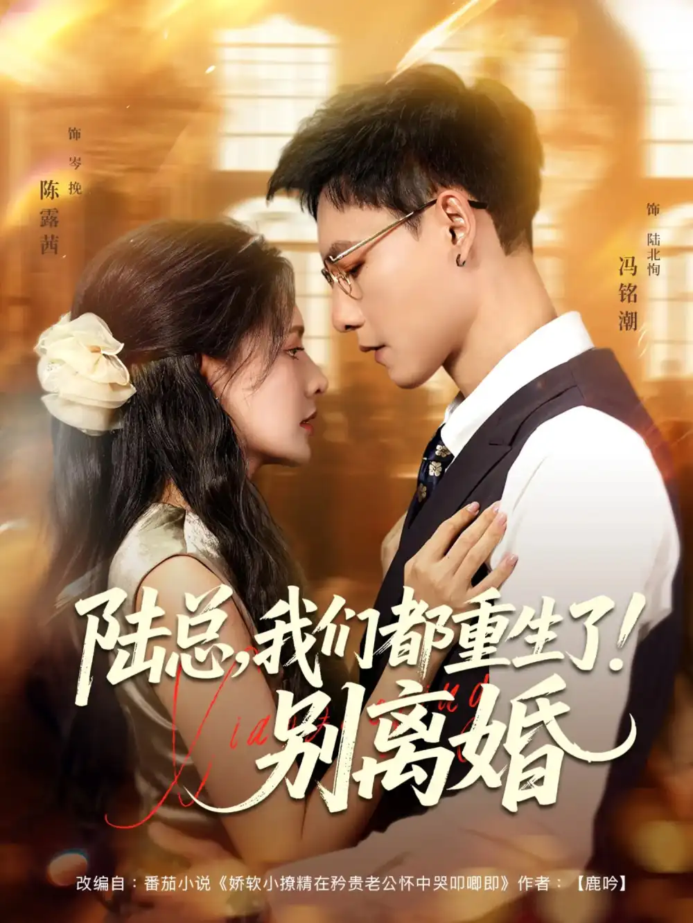 陆总我们都重生了！别离婚&陆总我们都重生了别离婚 - 短剧短剧海报图片