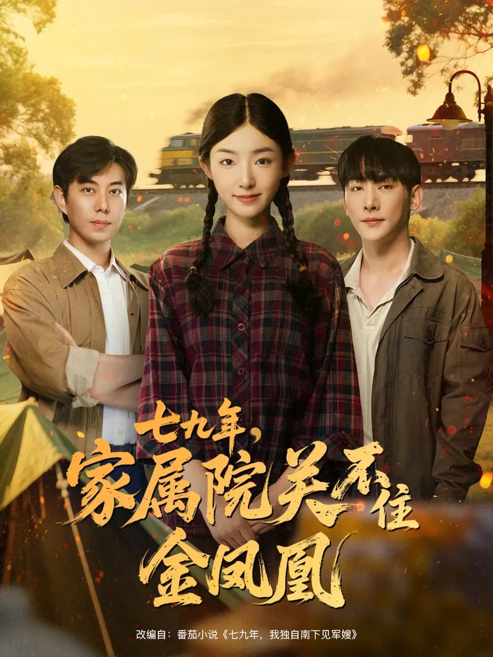 七九年家属院关不住金凤凰 - 短剧短剧海报图片