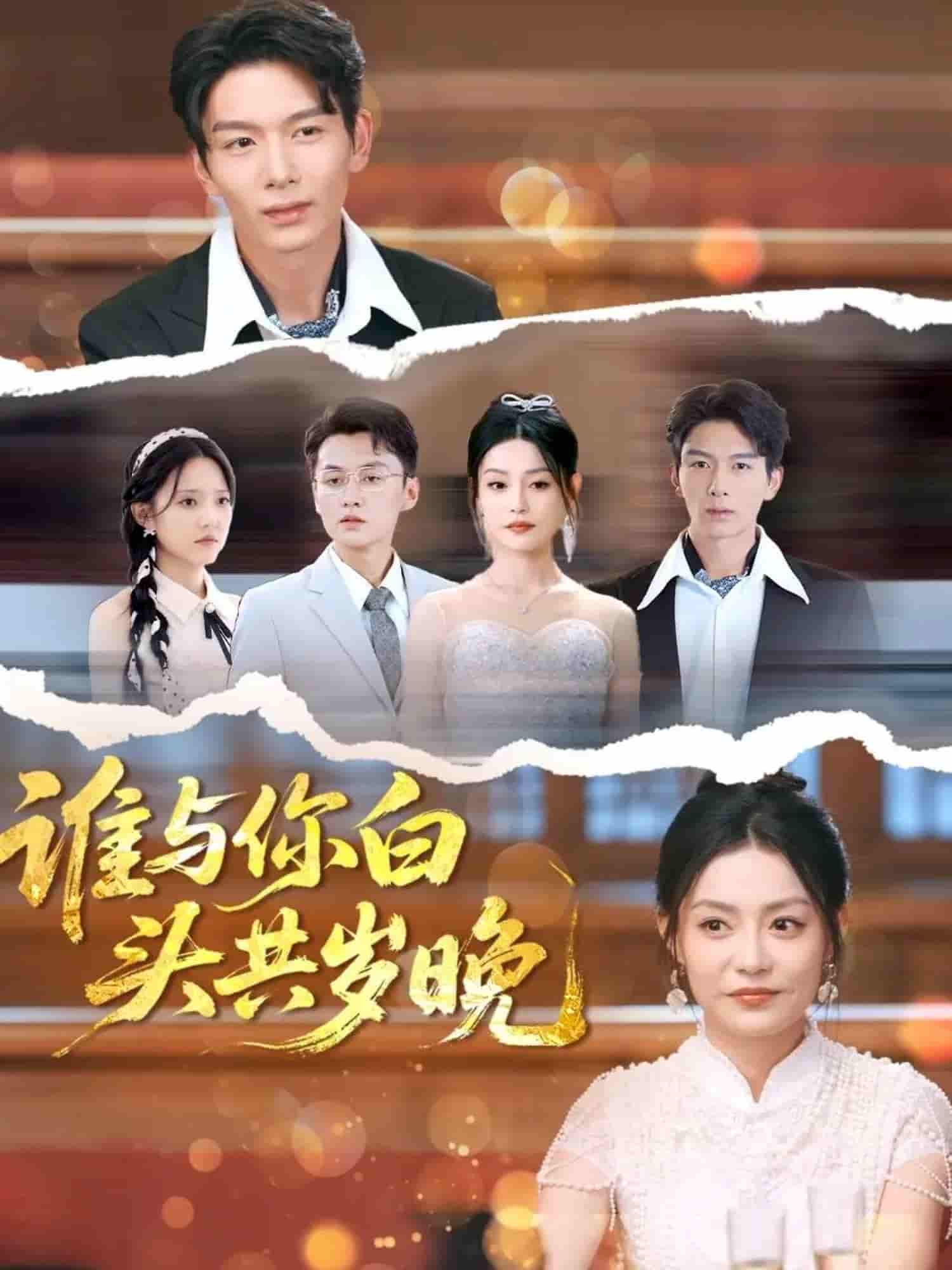 谁与你白头共岁晚 - 短剧短剧海报图片