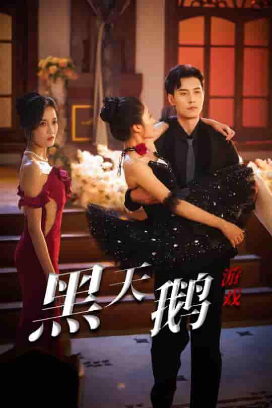 黑天鹅游戏 - 短剧短剧海报图片